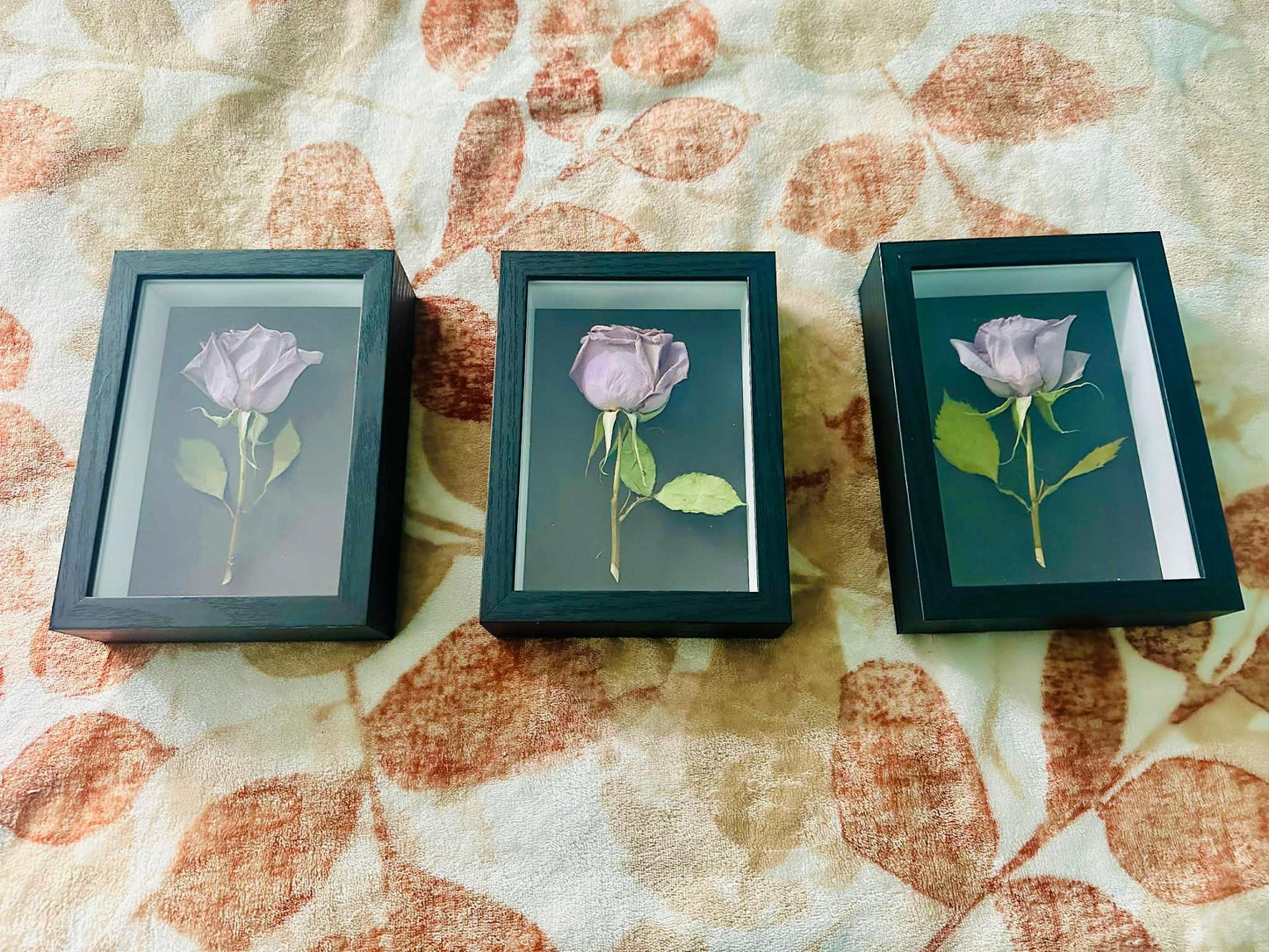 Shadowbox - Floral Preservation